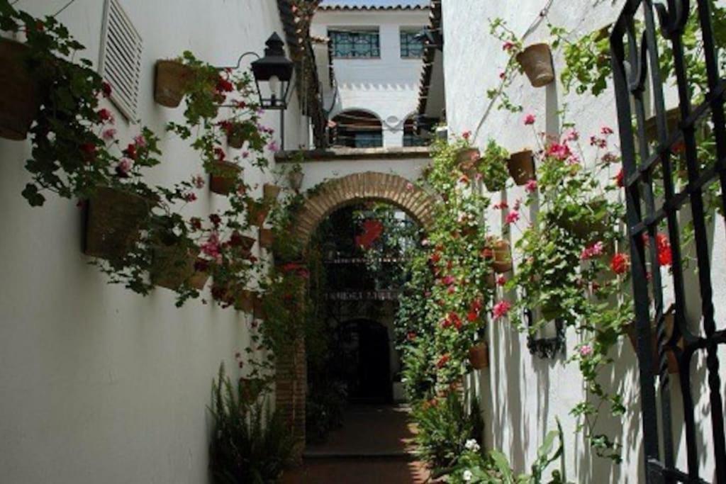La Casita Azul Apartment Alicante Exterior foto